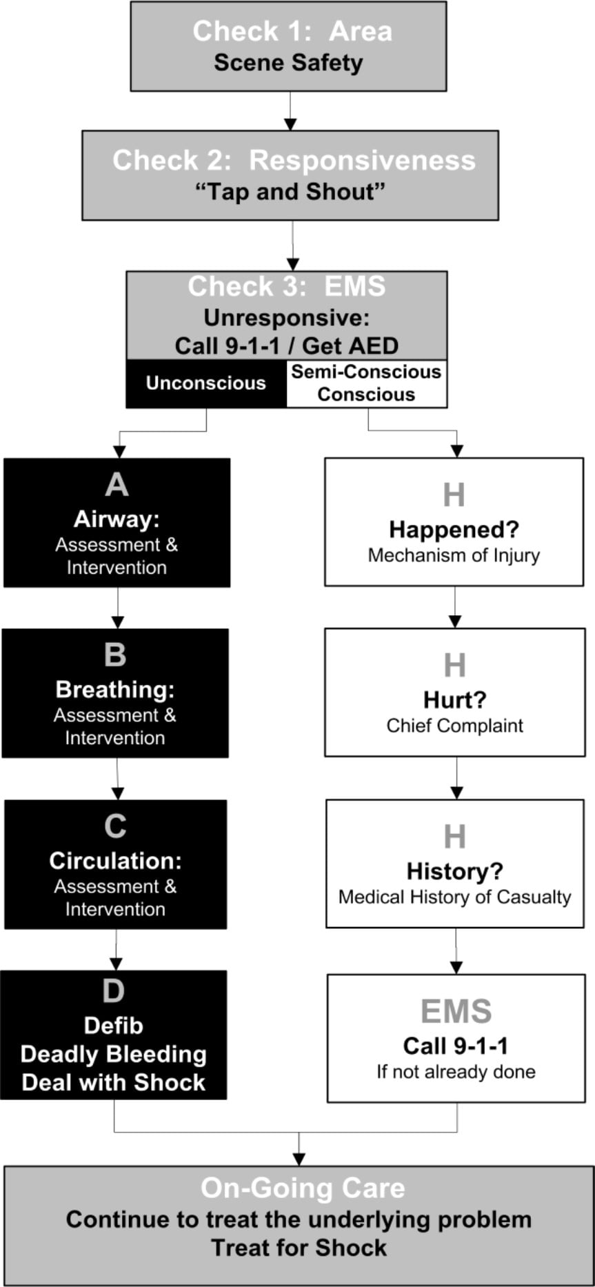 Focus 7.3 Emergency Scene Management System Blended Training by